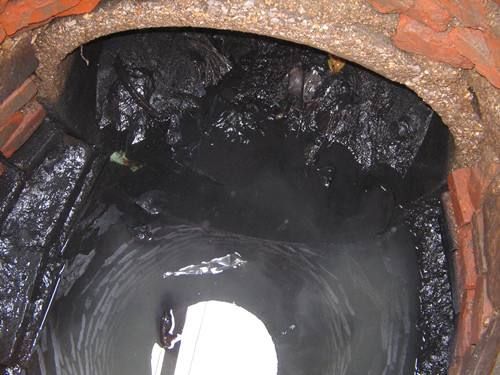 蒲江污水/雨水井清理